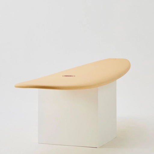 Beach Access ソフトボード 9.0ft ロングボード（美品）