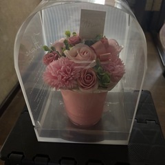 ブリザーブドフラワー
の画像