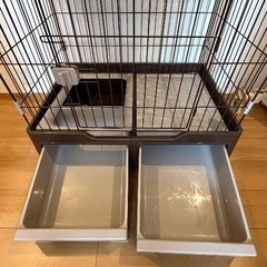 猫ゲージ無料で差し上げます(明日限定)の画像