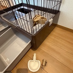 猫ゲージ無料で差し上げます(明日限定)の画像