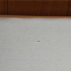 トゥルースリーパー   低反発マットレス  シングルの画像