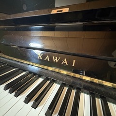 BL-51 の画像