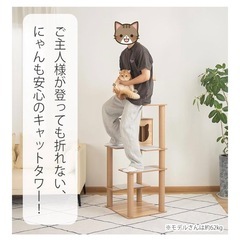 新品未開封 未組立 なになにLife キャットタワー 木製 据え置き ＼滑り止めマット／ おしゃれ 木目 省スペース 重厚感 宇宙船 高さ148cm 猫タワー 大型猫 シニア猫 多頭飼い 猫ハウス 壁際ぴったり 成猫 キャットツリー 展望台 クリアボウル 安定性 インテリア性 ストレス発散 運動不足解消 登りやすい コーナー 隠れ家 狭い部屋 サイザル麻 爪とぎ 爪研ぎポール スクラッチ (茶色麻紐)の画像