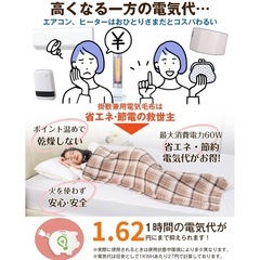 新品未開封 電気毛布 掛け敷き兼用 140×80cm 電気ブランケット 5段階温度調整 4段階切タイマー 速暖 頭寒足熱 ダニ退治 防寒対策 節電 省エネ 防臭 抗菌 丸洗い可 肩掛け 膝掛け 毛玉なし 暖房器具 PSE認証 [日本国内ブランド正規品] (グレー)の画像