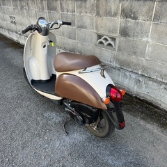【フル整備🎵】ホンダ　af55 スクーピー　4ストローク50cc原付の画像
