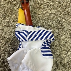 ワンちゃん用コスチューム　Mの画像