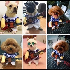 ワンちゃん用コスチューム　Mの画像