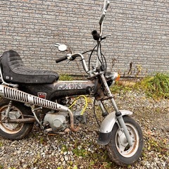 書類有)HONDA Dax ST-50(たしか88cc)10月24日までの画像