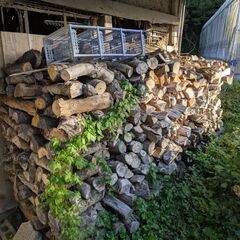 伐採してから2年乾かしたりんごの薪軽トラ1台分の画像