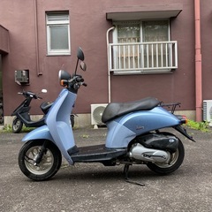 ホンダ　AF61
の画像