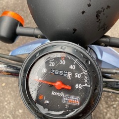 ホンダ　AF61
の画像