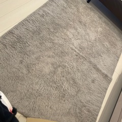ニトリカーペットあげますの画像