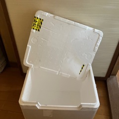 発泡スチロールの画像