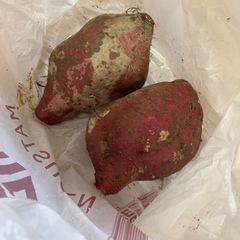 さつまいも(大) 芋 2個セットの画像
