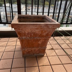 プランターの画像