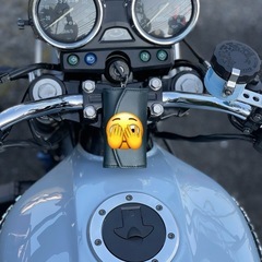 
ZRXⅡの画像