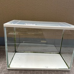 水槽　幅40センチの画像