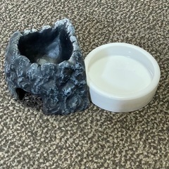 爬虫類、両生類ケースの画像