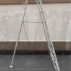 アルミ 三脚脚立 8段 造園 園芸 高所作業 はしご 庭木 剪定 メーカー不明 《ダメージ有り》の画像