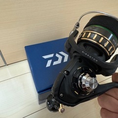 釣り　
ダイワ　リールBG SW10000-Hの画像