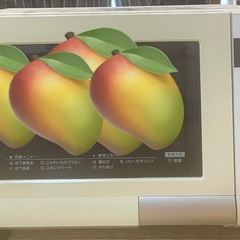 Panasonic オープンレンジ
の画像
