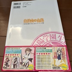 生徒会の一存　公認ファンブックの画像