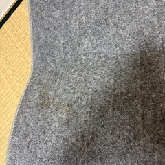 【決定】一畳用ホットカーペットの画像