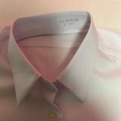 新品　イオン　スクールシャツ　女の子用　165 長袖　女児用　ワイシャツ　ブラウスの画像
