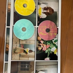 YUKI  LPサイズCD2枚の画像