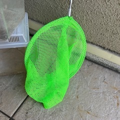 虫かご、虫取り網の画像