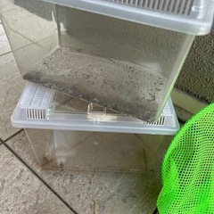 虫かご、虫取り網の画像