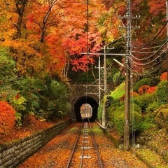 ミドルカフェ＠中国地方（40代〜60代限定・交流オフ会）