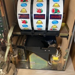 訳あり品ですの画像