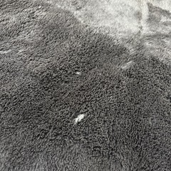 【商談中】カーペットの画像