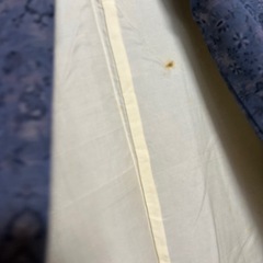女性用　着物　の画像
