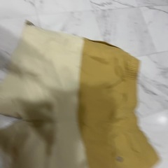 ノースフェイス　たんぱ短パンの画像