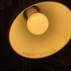B7105【アングルポイズ】タイプ75　デスクランプ フロアスタンド セットの画像