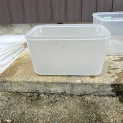 (メダカ用に使ってました)NVボックス13と6Lの入れ物の画像