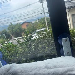 猫用ハンモック2つ の画像