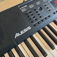 Alesis Melody61 61鍵 電子ピアノの画像