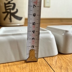 LAKOLE 皿の画像