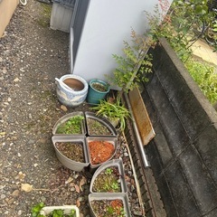 家庭菜園用グッズプランターの画像
