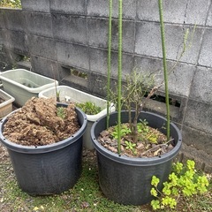 家庭菜園用グッズプランターの画像