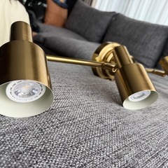 らいとライトの画像