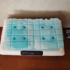 サンカ べリアスクーラー 17L SANKA GVAC-17WH/WH 保冷剤付きの画像