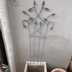 オベリスク差し上げますの画像