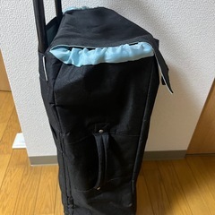 差し上げます。ココロ買い物キャリーバック訳あり！の画像