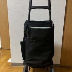 差し上げます。ココロ買い物キャリーバック訳あり！の画像