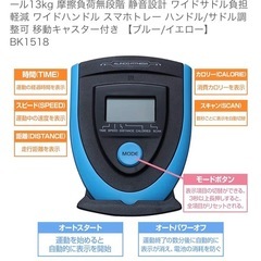 アルインコ　スピンバイク　本格ホイール　移動キャスターつきの画像