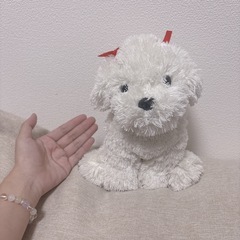 しろい妖精さん/白い犬/ぬいぐるみの画像